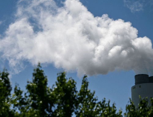 The Daily Signal: Biden Administration Is Skewing Carbon Numbers to Push Regulations