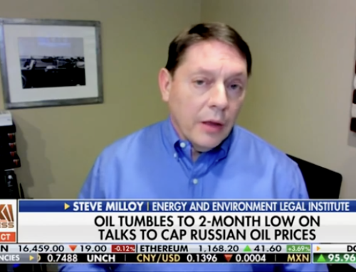 Steve Milloy talks Russia oil price caps on Fox Business with Edward Lawrence and Phil Flynn
