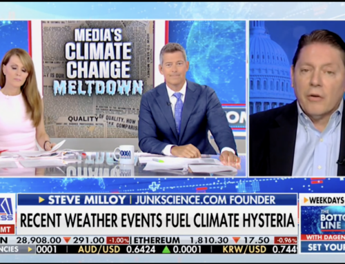 Milloy talks Maui fires, ‘hottest month’ and more with Dagen McDowell, Sean Duffy on FOX Business