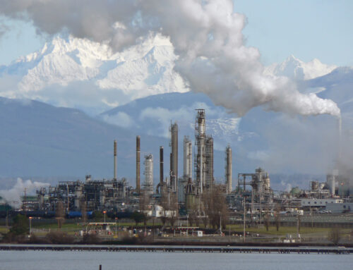 Washington Examiner: ‘All of the above’ approach to energy will be left behind in 2025