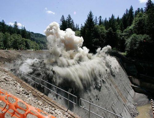 Walcher: Why we build fences — and dams