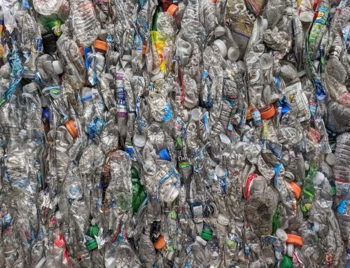 Grimes: Sacramento Bolsheviks Hire Recycling Police for ‘Curbside Trash Bin Inspections’