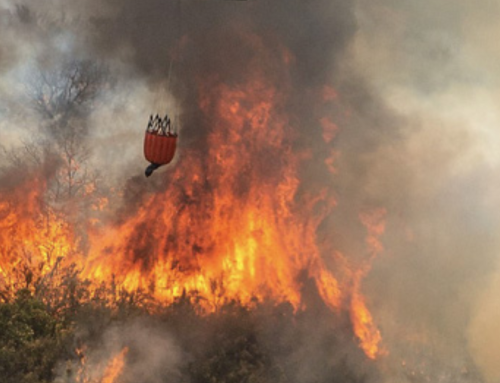 Grimes: No Climate Crisis in California: Climate Change is Not Causing California’s Wildfires
