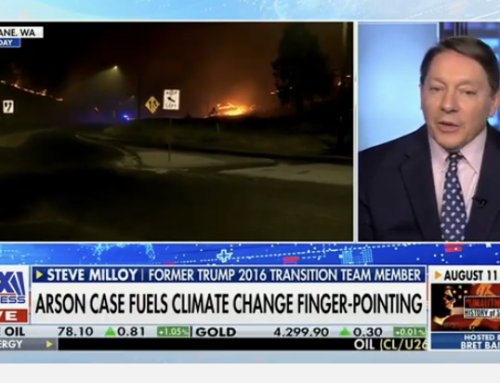 Milloy discusses wildfires, Sesame Street and raising the voting age on FOX Business