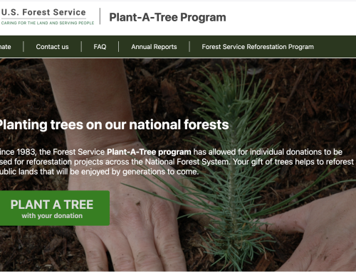 Walcher: Tree-planting initiative is so 2020
