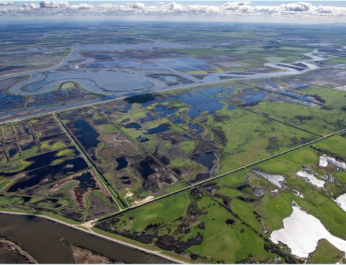 Grimes: Newsom Vetoes Important California Water Bill, Despite Unanimous Passage by Legislature